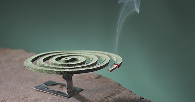 mosquito-coil Report Mosquito Coil In Your Home Might Actually Kill You (Shutterstock)