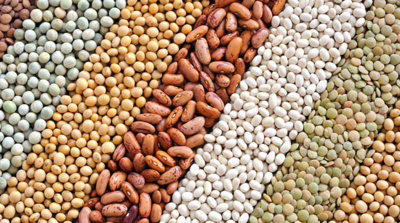Eat More Beans If You Want To Lose Weight