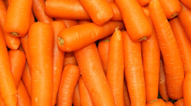 Benefits of eating carrot (photo credit - wall.alphacoders.com)