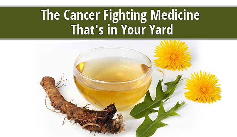 Dandelion, the Cancer Fighting Medicine That’s in Your Yard