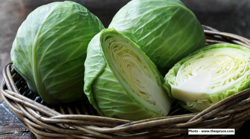 How The Humble Cabbage Can Stop Cancers