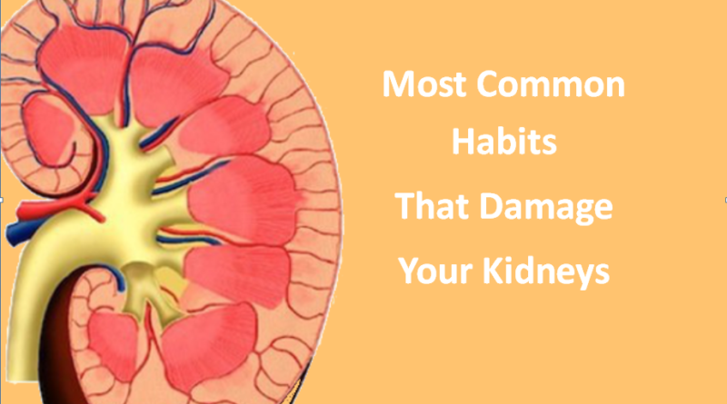 Most Common Habits that Damage Your Kidneys