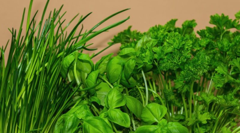 10 Herbs That May Help Lower High Blood Pressure